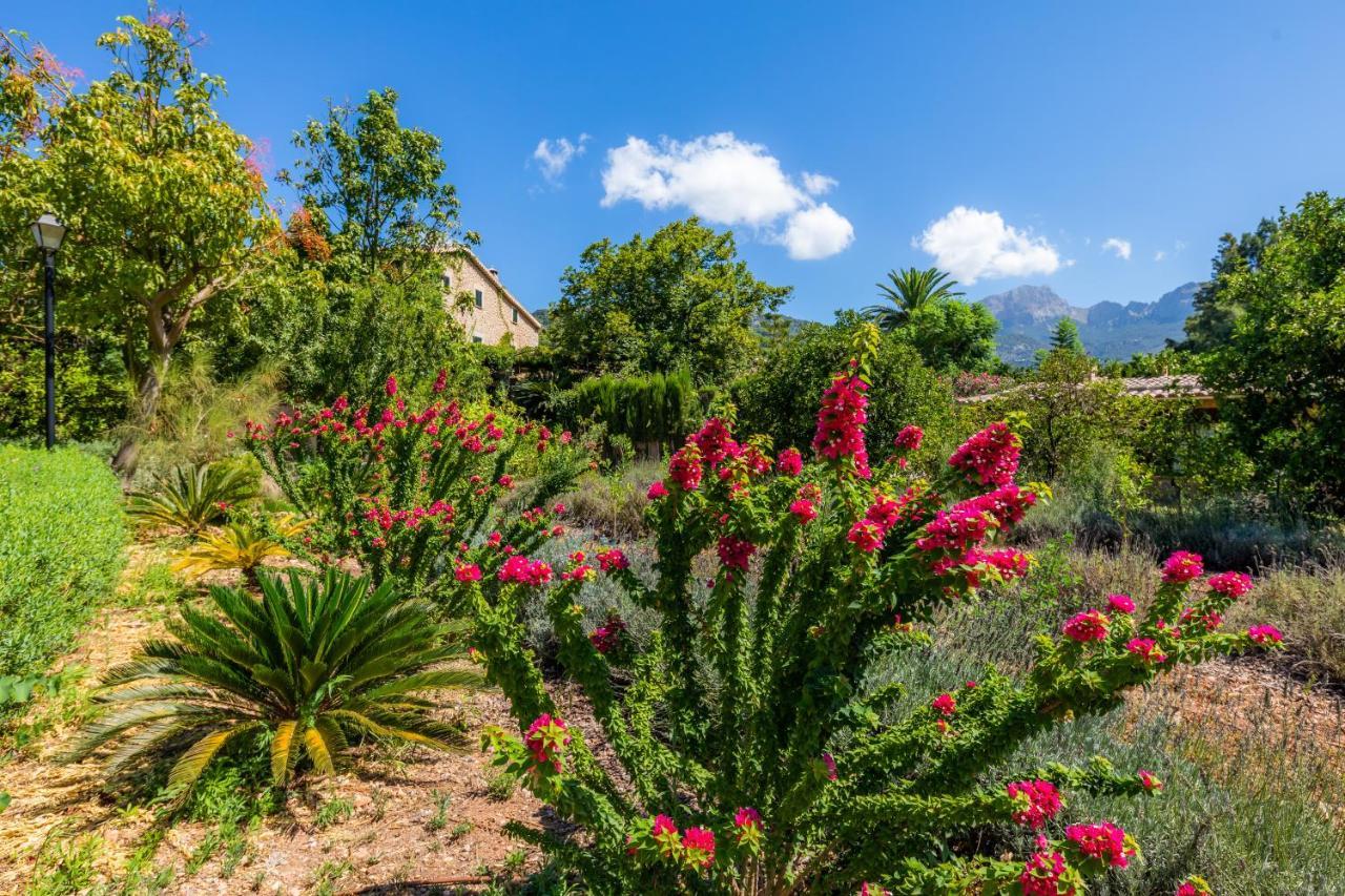 Finca Ca'S Curial - Agroturismo - Adults Only Сольер Экстерьер фото