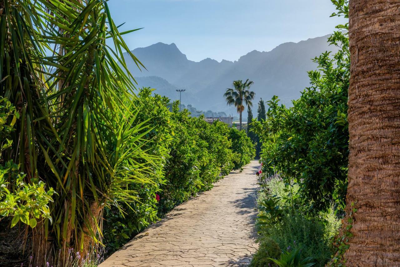 Finca Ca'S Curial - Agroturismo - Adults Only Сольер Экстерьер фото