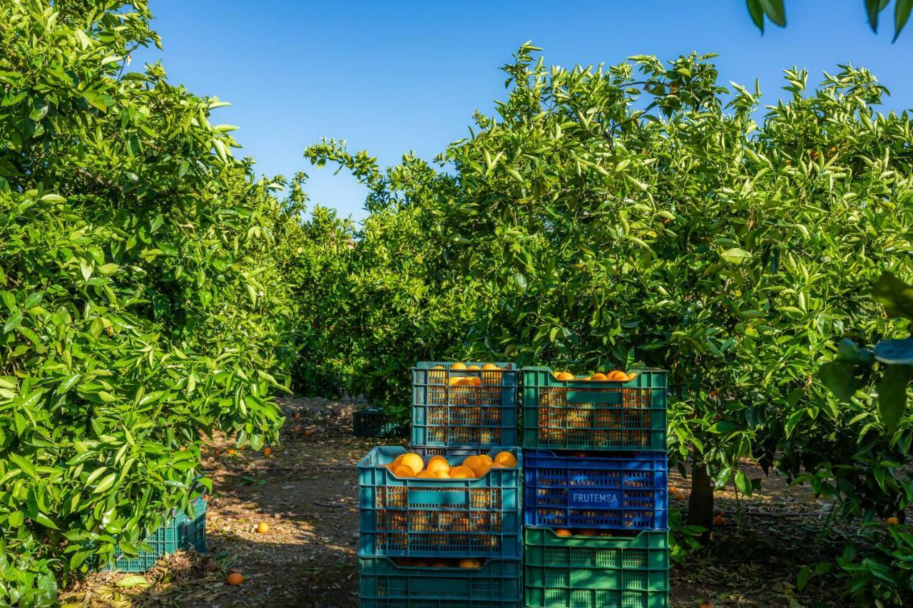 Finca Ca'S Curial - Agroturismo - Adults Only Сольер Экстерьер фото